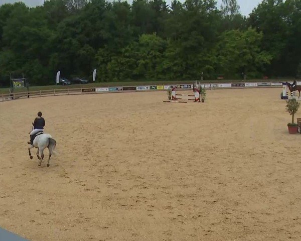 Reitturnier Tiefenhof/Opf. 2025