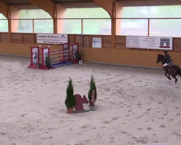 Hallenspringturnier Xanten - Reitanlage Miß 2014