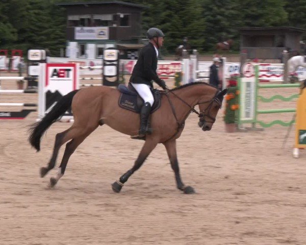 Reitturnier Ranshofen - Braunau am Inn 2025