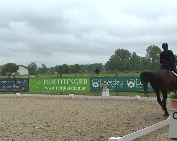 Reitturnier Notzing/Obb. 2025