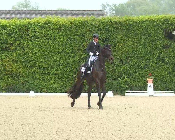 Reitturnier Notzing/Obb. 2025