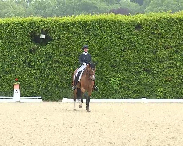 Reitturnier Notzing/Obb. 2025