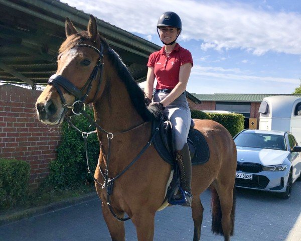 Springpferd Cornet‘s Charlie (Westfale, 2020, von Cornet Obolensky)