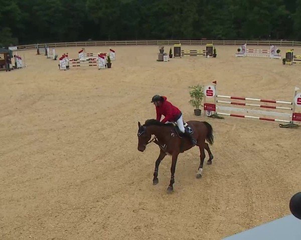 Reitturnier Tiefenhof/Opf. 2025