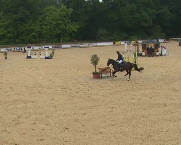 Reitturnier Tiefenhof/Opf. 2025