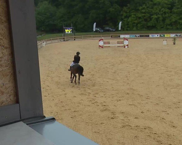 Reitturnier Tiefenhof/Opf. 2025