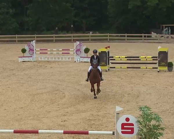 Reitturnier Tiefenhof/Opf. 2025