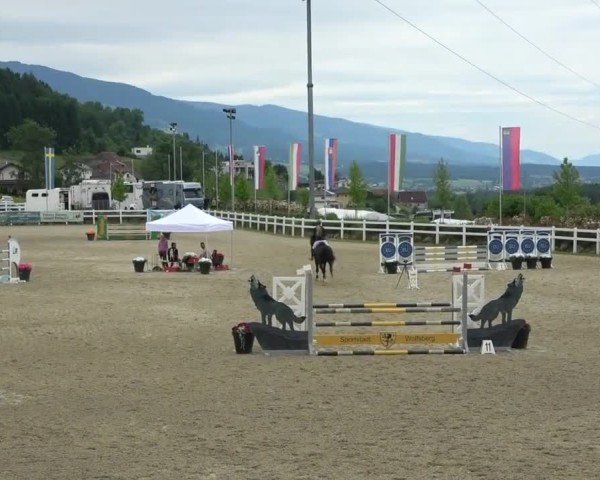 Reitturnier St. Margarethen 2025