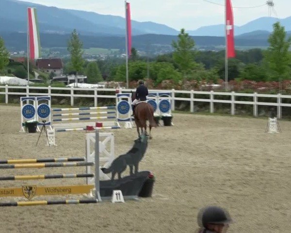 Reitturnier St. Margarethen 2025