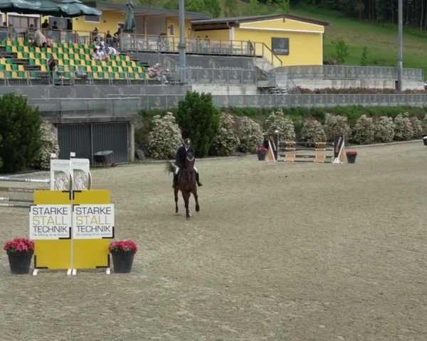 Reitturnier St. Margarethen 2025