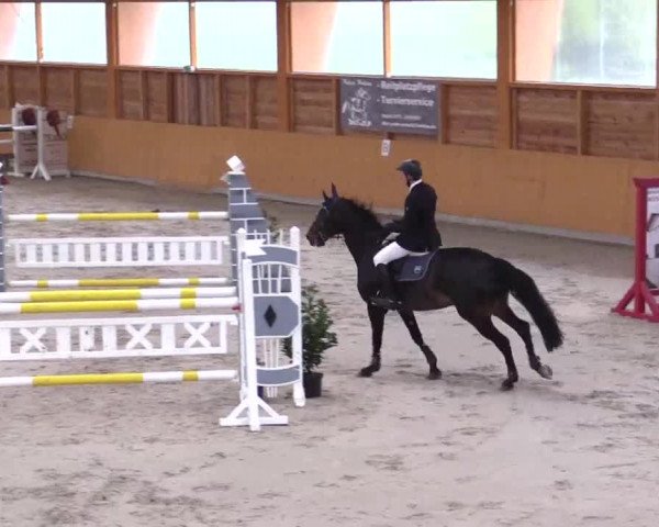 Hallenspringturnier Xanten - Reitanlage Miß 2014