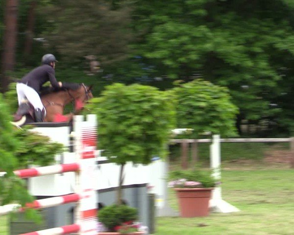 Reitturnier Zeven 2025