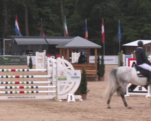 Reitturnier Ranshofen - Braunau am Inn 2025