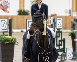 jumper Delgaro AS (Westphalian, 2013, from Diar Noir)