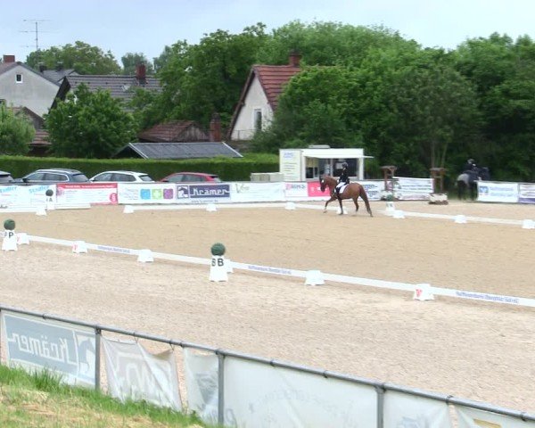 Reitturnier Mallersdorf-Pfaffenberg/Ndb. 2025