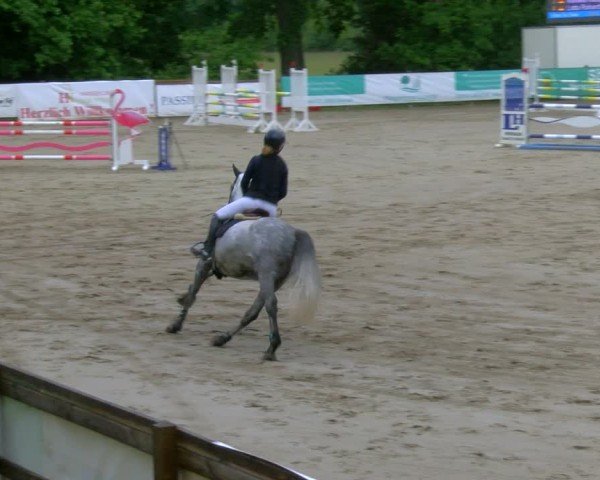 Reitturnier Alvern 2025