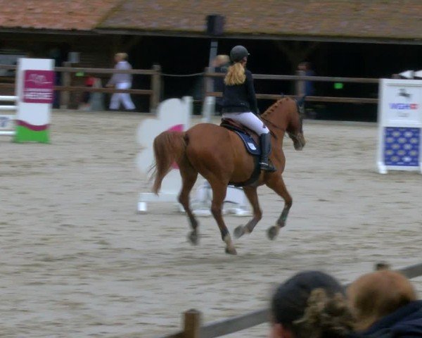 Reitturnier Alvern 2025