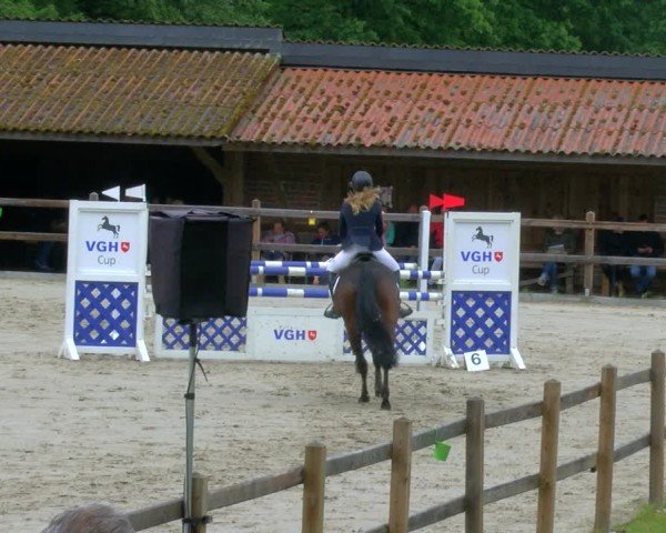 Reitturnier Alvern 2025