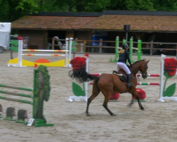 Reitturnier Alvern 2025