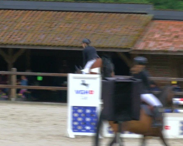 Reitturnier Alvern 2025