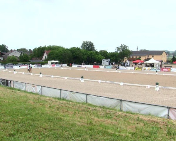 Reitturnier Mallersdorf-Pfaffenberg/Ndb. 2025