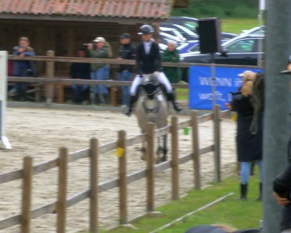 Reitturnier Alvern 2025