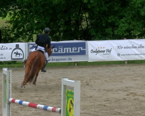 Reitturnier Alvern 2025
