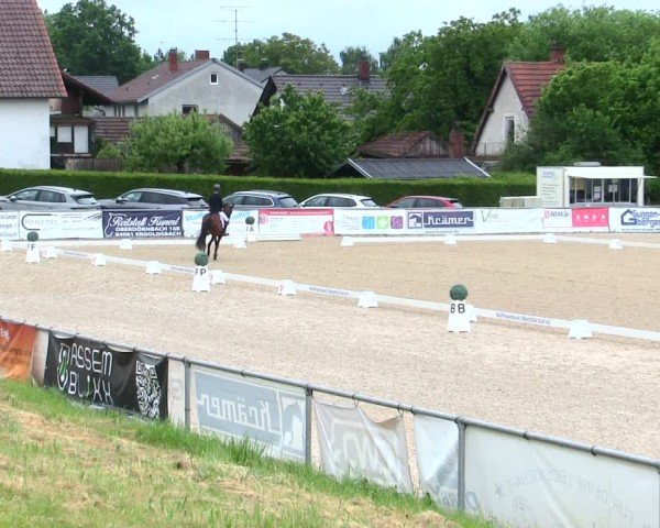 Reitturnier Mallersdorf-Pfaffenberg/Ndb. 2025