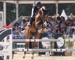 jumper Cosimo 68 (Holsteiner, 2017, from Cascadello)
