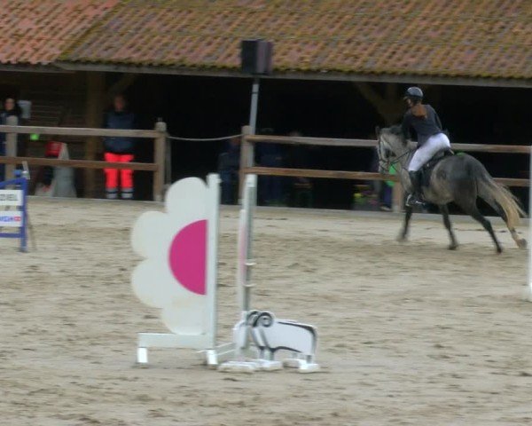 Reitturnier Alvern 2025