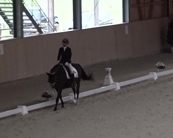 Reitturnier Aadorf 2025