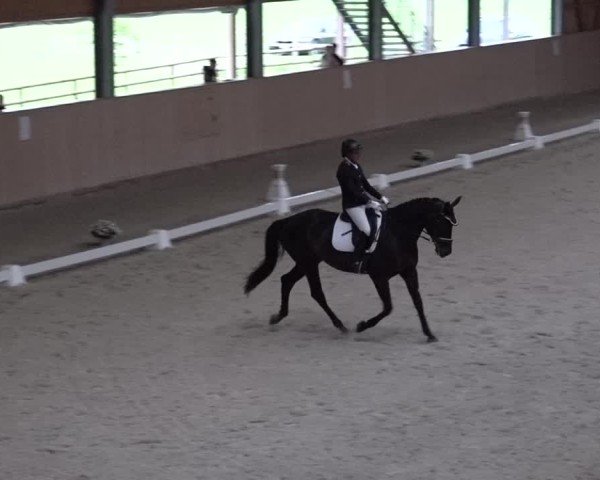 Reitturnier Aadorf 2025