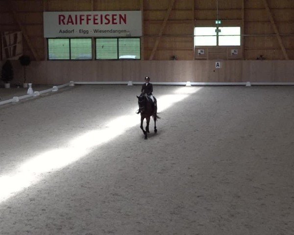 Reitturnier Aadorf 2025