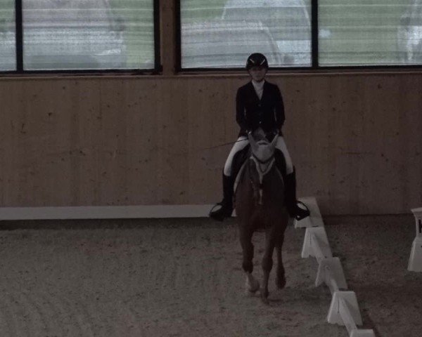 Reitturnier Aadorf 2025