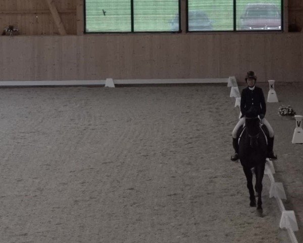 Reitturnier Aadorf 2025