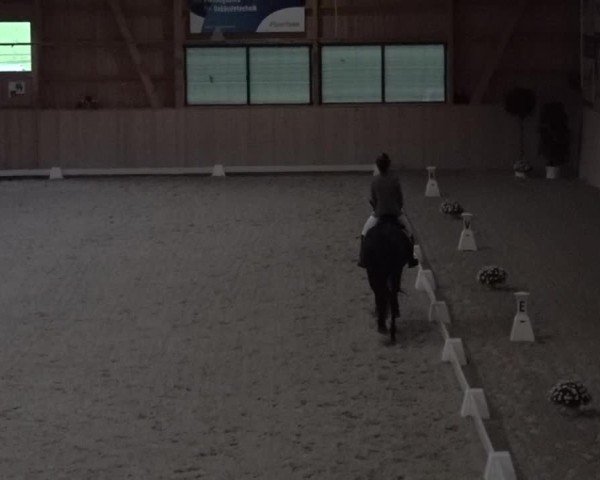 Reitturnier Aadorf 2025