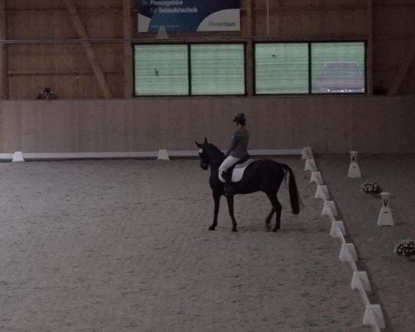 Reitturnier Aadorf 2025