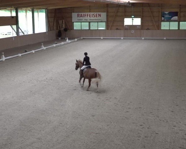 Reitturnier Aadorf 2025