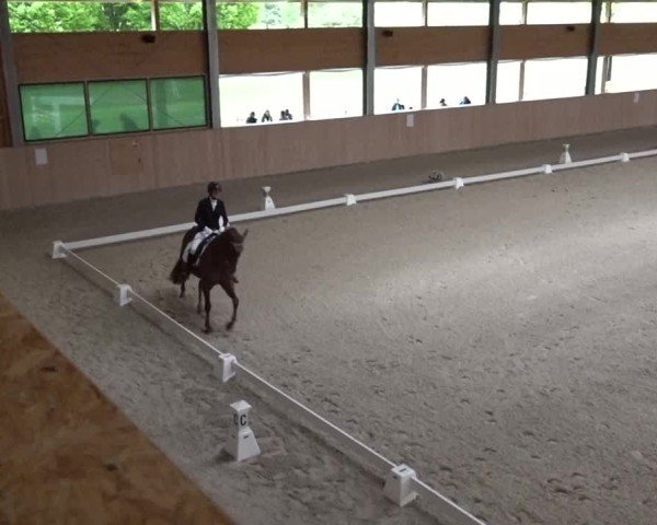 Reitturnier Aadorf 2025