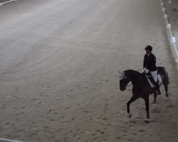 Reitturnier Aadorf 2025