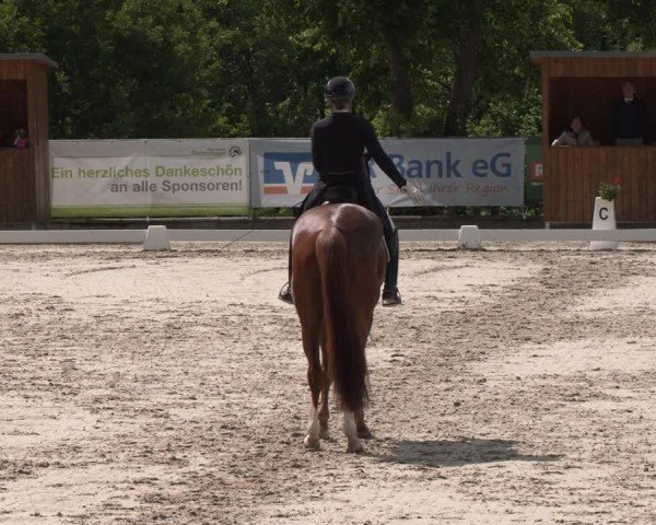 Reitturnier Erkrath - Uhlenhof 2025