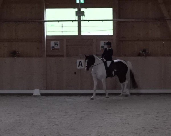 Reitturnier Aadorf 2025