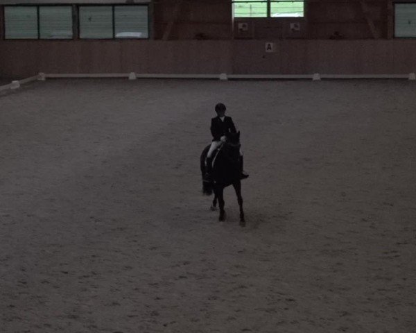 Reitturnier Aadorf 2025
