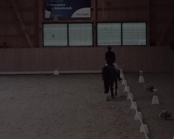Reitturnier Aadorf 2025