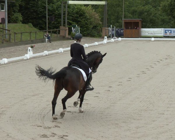 Reitturnier Erkrath - Uhlenhof 2025