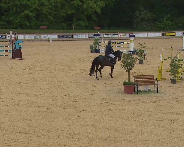 Reitturnier Tiefenhof/Opf. 2025