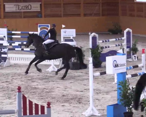 Hallenspringturnier Xanten - Reitanlage Miß 2014