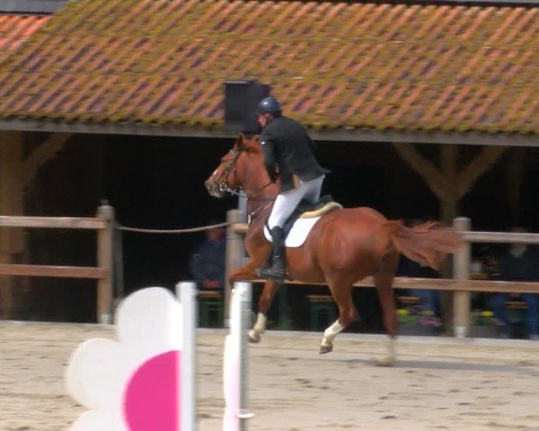 Reitturnier Alvern 2025