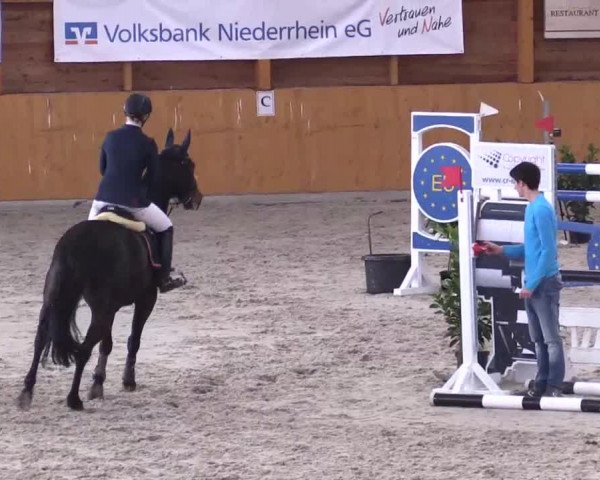 Hallenspringturnier Xanten - Reitanlage Miß 2014
