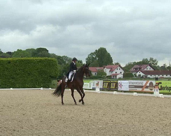 Reitturnier Notzing/Obb. 2025